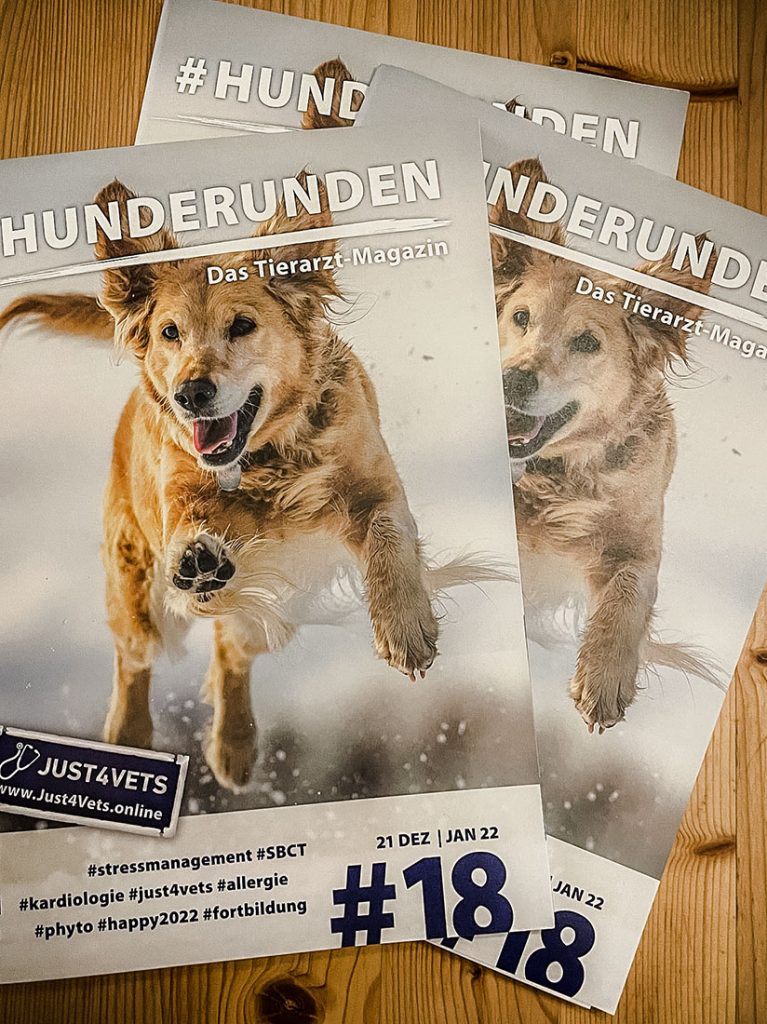 Magazin Hunderunden